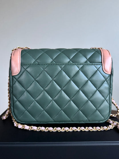 Pre-owned Chanel Diana Mini Bi-color Green Pink Leather Flap Bag