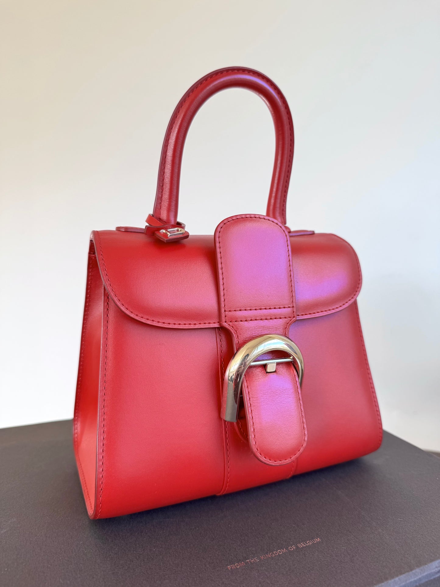 Pre-owned Delvaux Brillant Mini Red Box Calf Bag