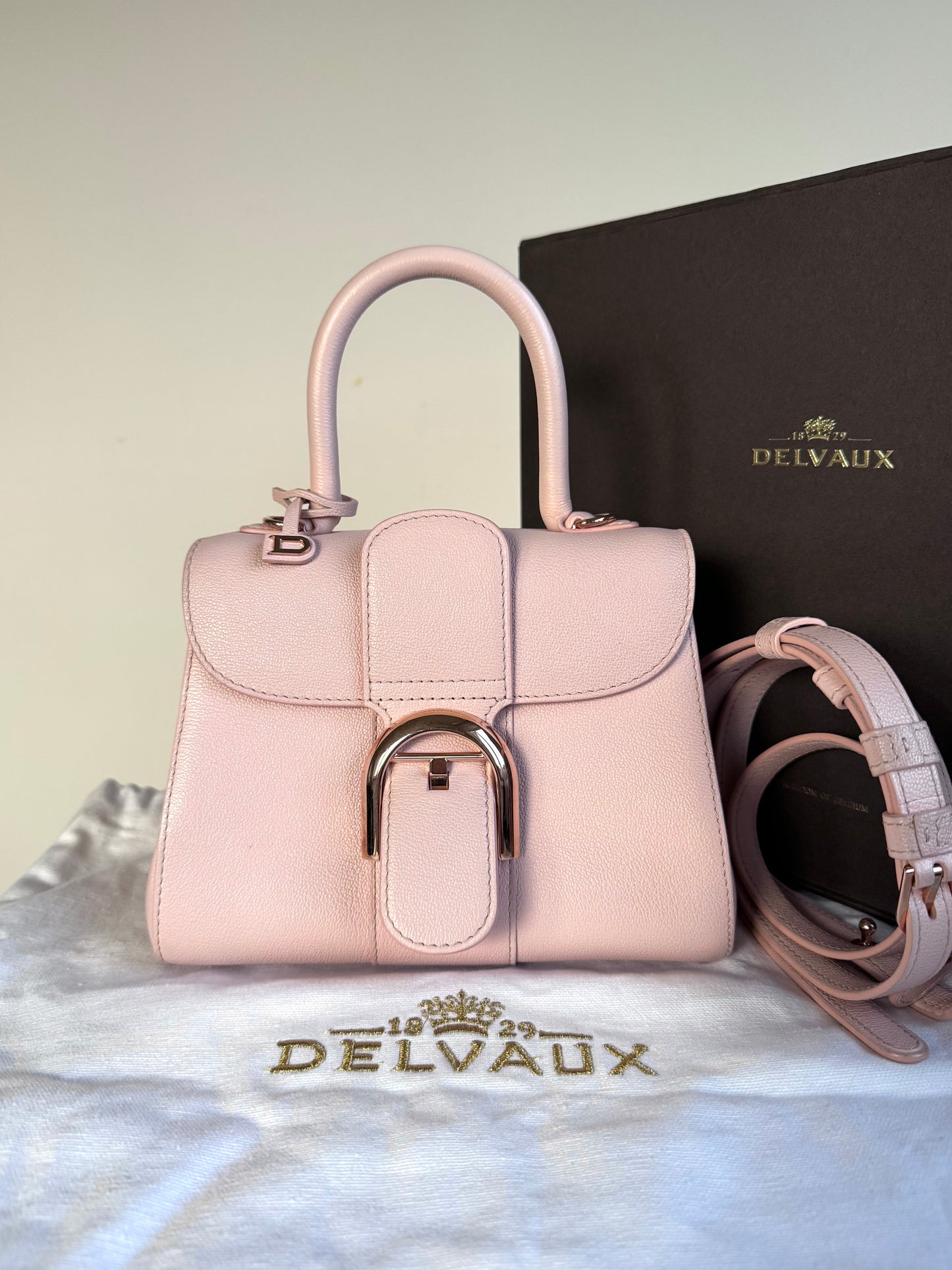 Pre-owned Delvaux Brillant Mini Light Rose Calfskin Bag