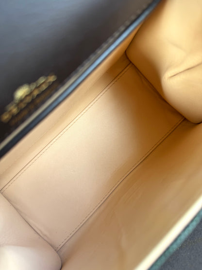 Pre-owned Delvaux Brillant Mini Metallic Dark Green Lizard Bag