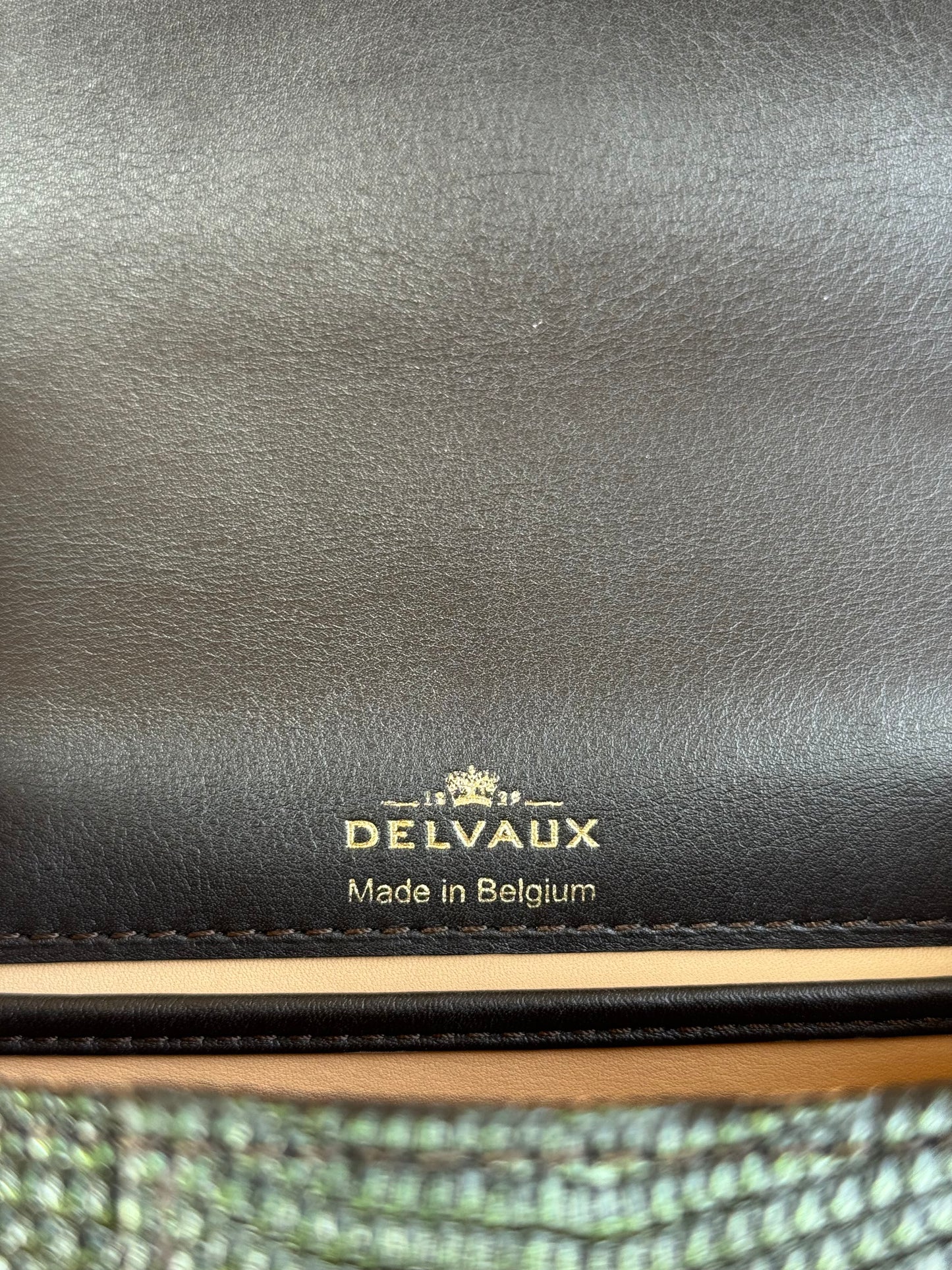 Pre-owned Delvaux Brillant Mini Metallic Dark Green Lizard Bag