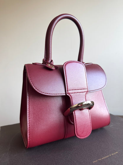 Pre-owned Delvaux Brillant Mini Burgundy Leather Bag