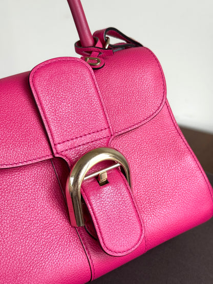 Pre-owned Delvaux Brillant Mini Indian Rose Leather Bag