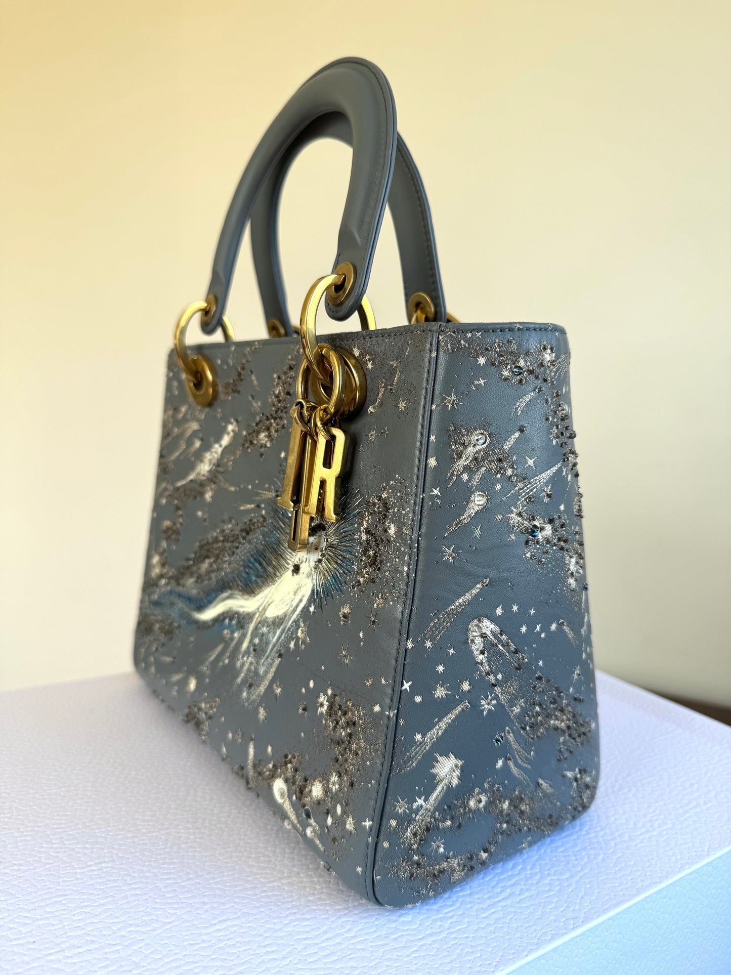 Pre-owned Dior Lady Dior Medium Grey Blue Embroidered Leather Bag