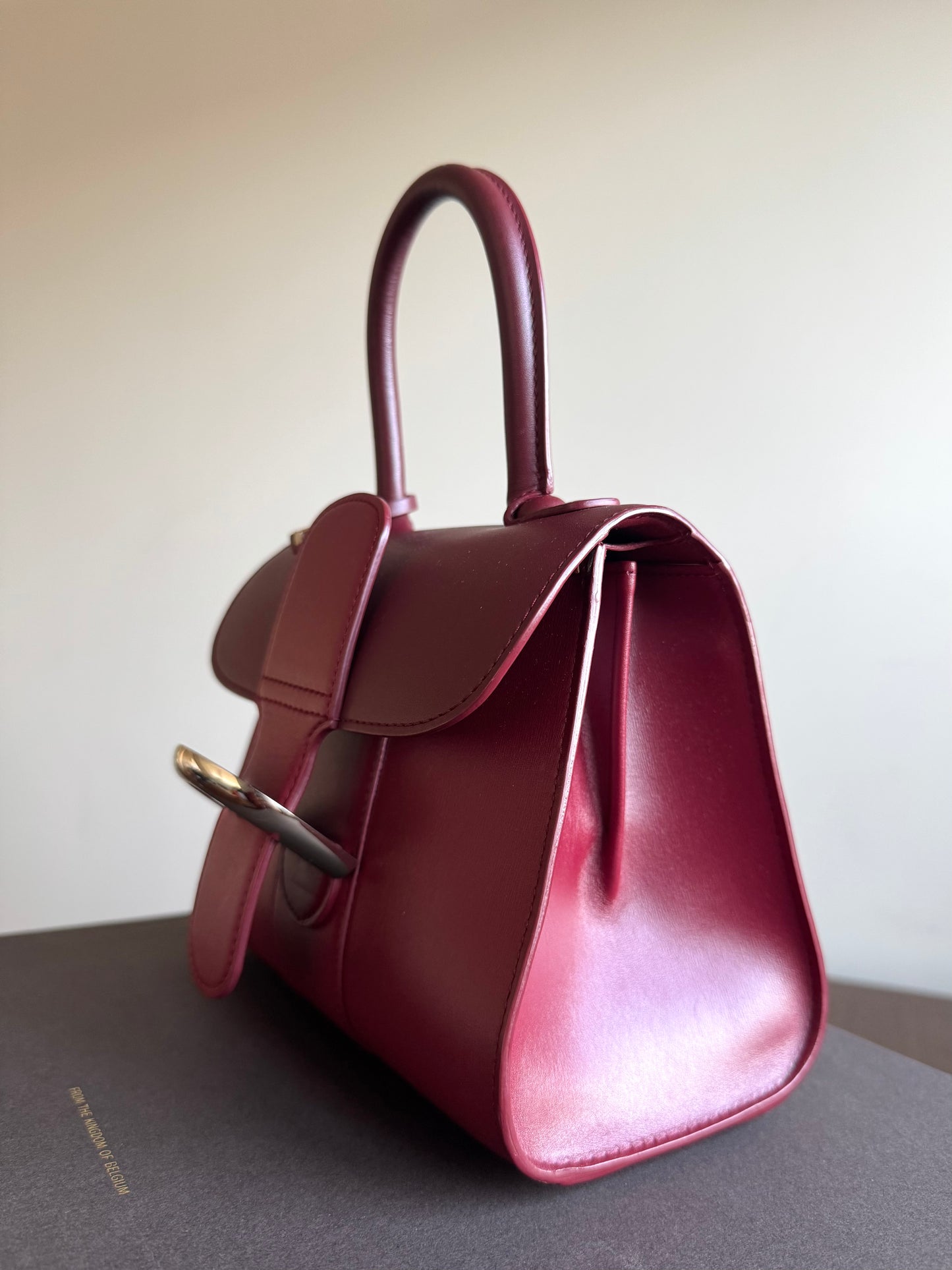 Pre-owned Delvaux Brillant Mini Burgundy Leather Bag