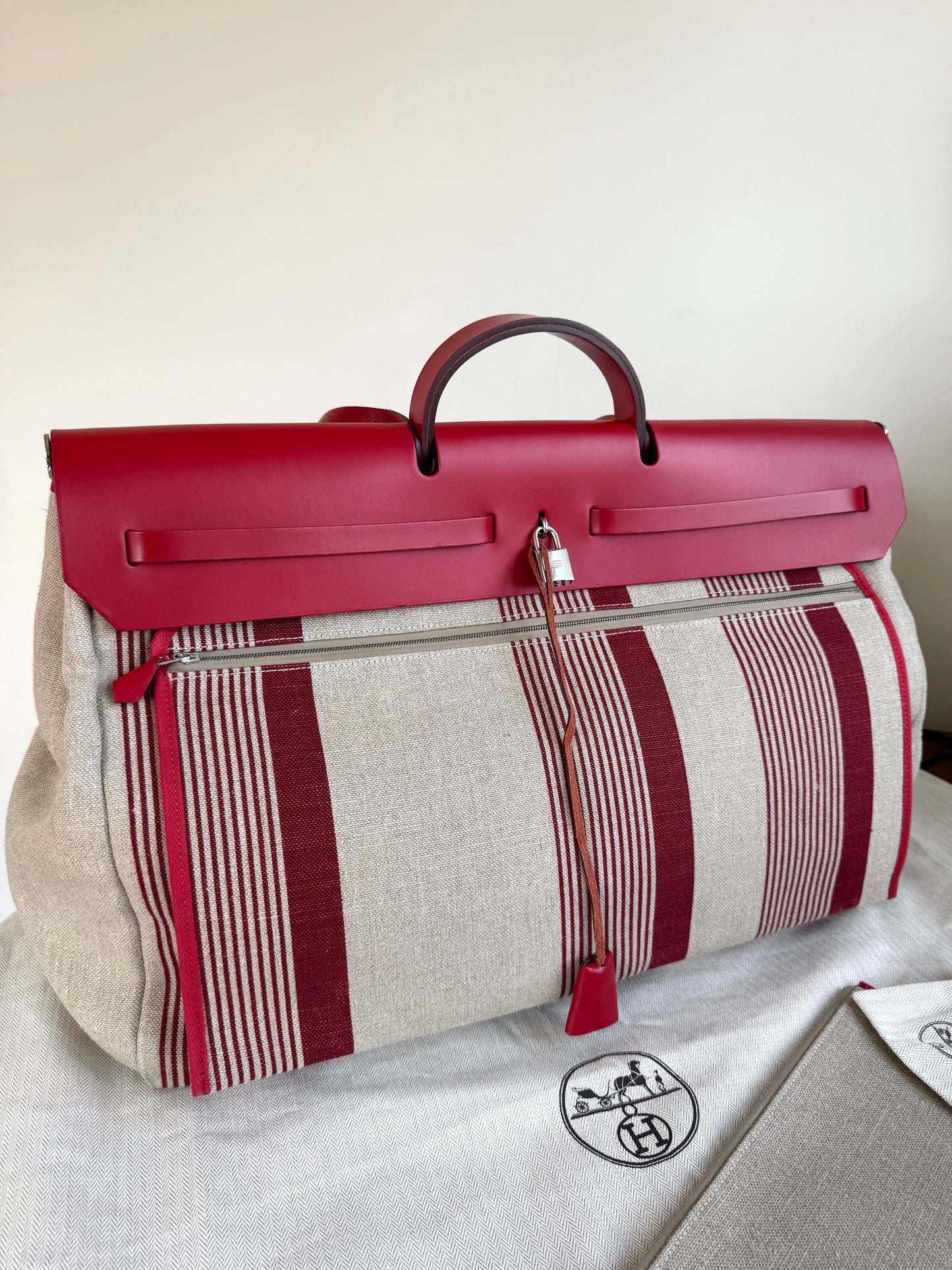 Pre-owned Hermès Herbag Zip 50 Printed Toile Leather Travel Bag