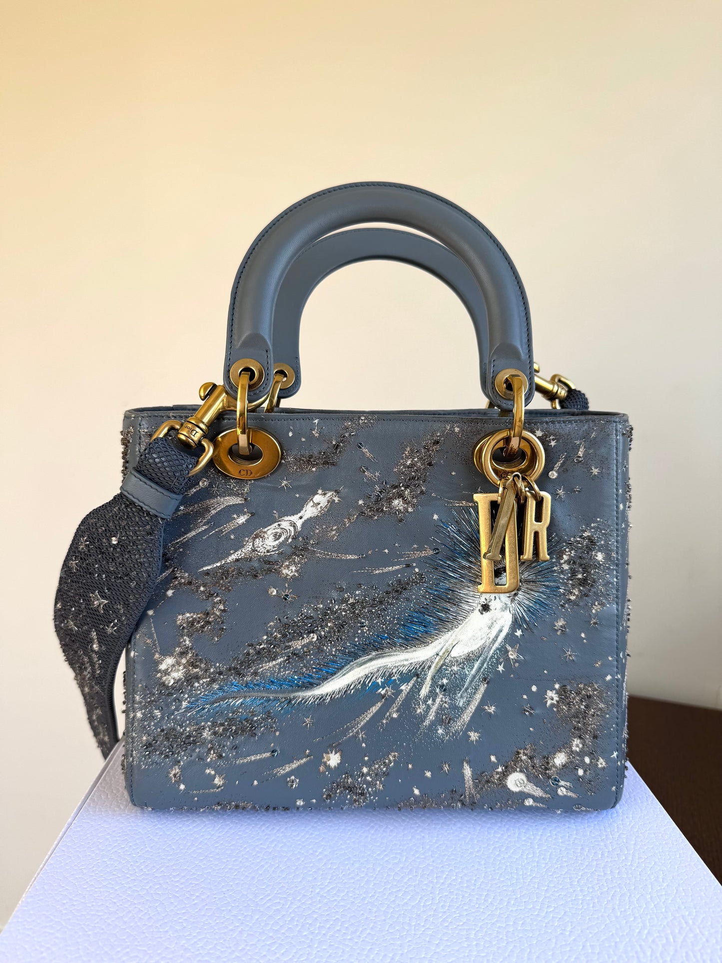 Pre-owned Dior Lady Dior Medium Grey Blue Embroidered Leather Bag
