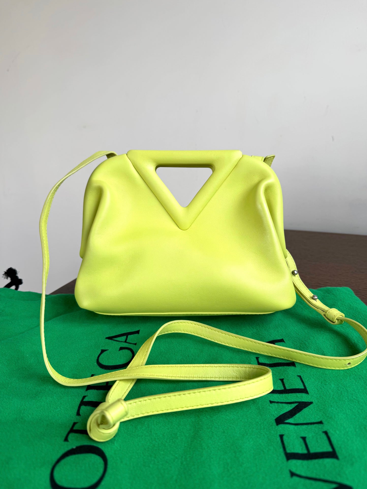 Pre-owned Bottega Veneta Point Small Seagrass Leather Bag